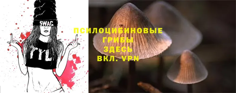 Галлюциногенные грибы Psilocybine cubensis  блэк спрут ССЫЛКА  Заполярный 