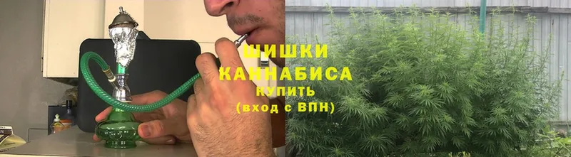 Бошки Шишки SATIVA & INDICA  цена   кракен ССЫЛКА  Заполярный 